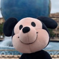 夢の国おさ